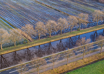 Paysage de polders vu du ciel