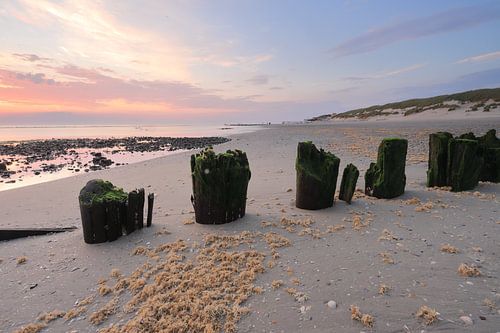 Palenrij Hollum bij zonsondergang