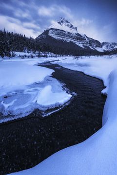 Blue Hour in de Rocky Mountains van Daniel Gastager