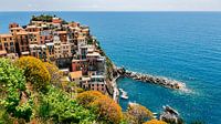Manarola Mozaïek: Levendige Huizen Langs Serene Zeekant