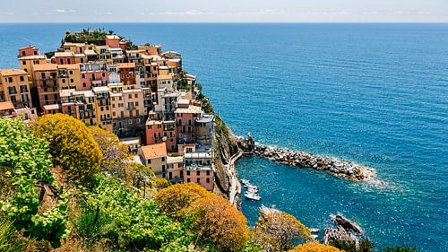 Manarola Mosaic: Vibrant Houses Along Serene Seafront