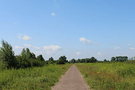 Straight ahead by Joanne Tekent