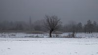 a winter landscape von Koen Ceusters Miniaturansicht