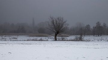 a winter landscape van Koen Ceusters