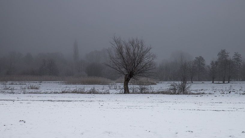 a winter landscape par Koen Ceusters