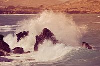 Wild water IV
