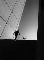 Promener le chien