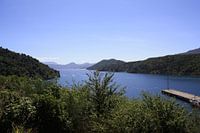 Picton Nieuw Zeeland