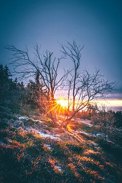 De laatste sneeuw in de zonsondergang van Fotos by Jan Wehnert
