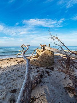 Baumstämme und Mauerreste am Weststrand an der Ostseeküste auf von Rico Ködder