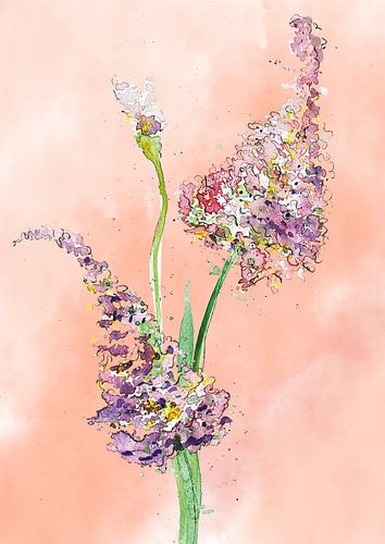 Spring in bloom