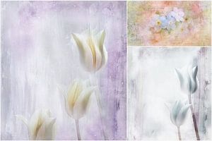 Softly - Tulpen und Vergissmeinnicht