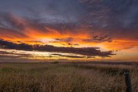 Zonsondergang boven Canadese prairie