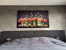 Kundenfoto: Tulpen aus Holland von Dirk Verwoerd, auf hd metal