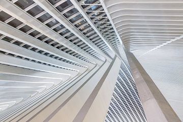 Liege-Guillemins abstract perspectief by Dennis van de Water