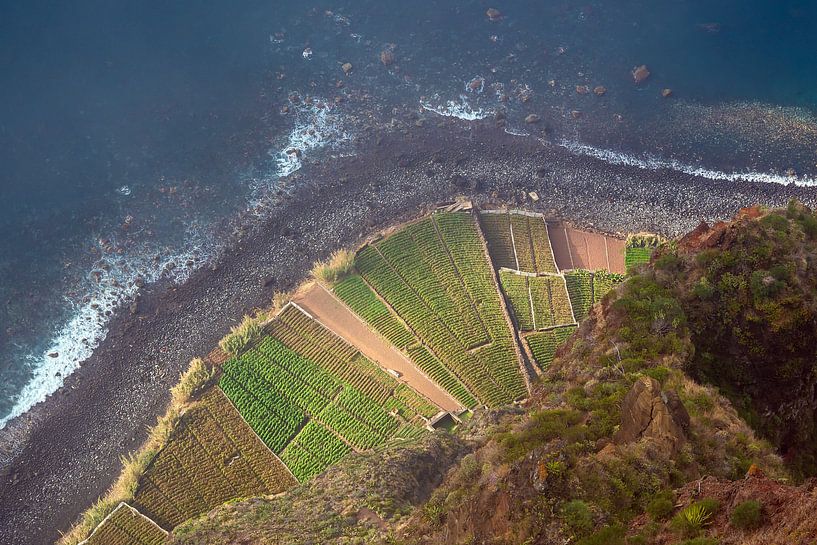 Cliff in Camara de Lobos on the island Madeira, Portugal by Rico Ködder