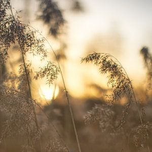Coucher de soleil