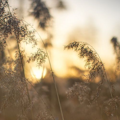 Zonsondergang