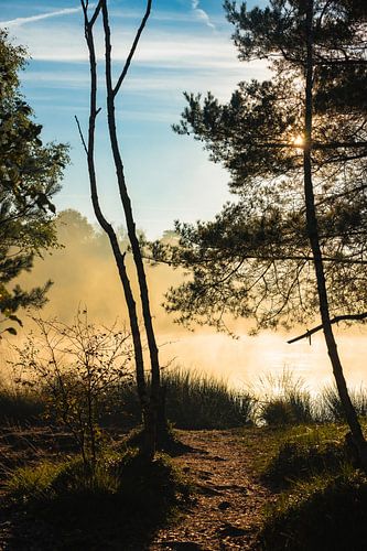 Late zomerochtend in het Venner Moor