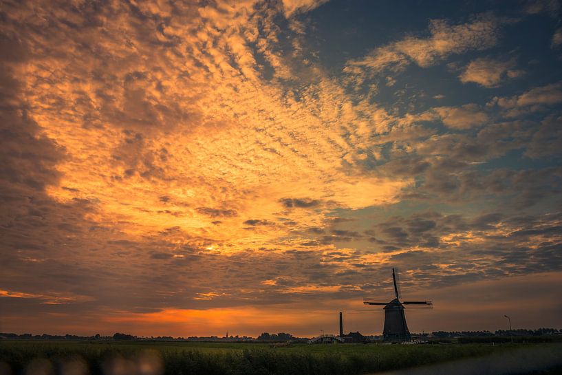 Kaagmolen in de gloed van peterheinspictures