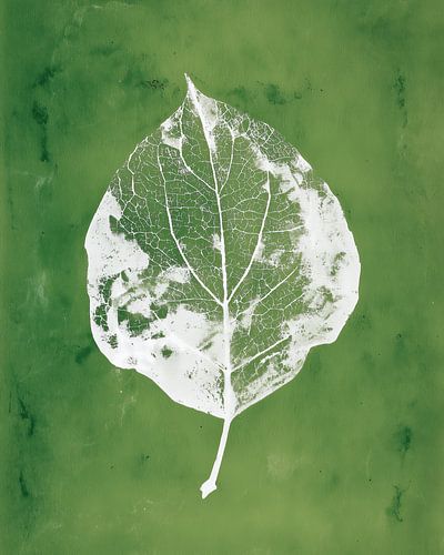 Monotype Leaf - Empreinte verte minimaliste