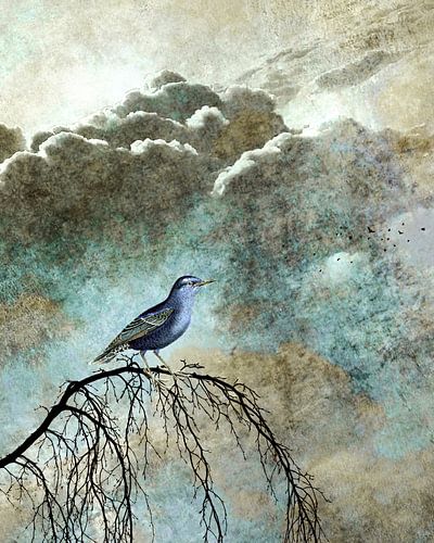  HEAVENLY BIRD IIa restyled Portrait
