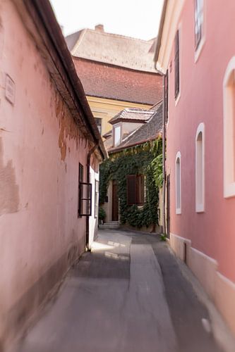 Hongarije | Györ | dromerig pastel in de stad