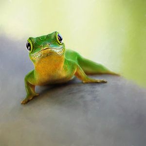 Mr. Gekko
