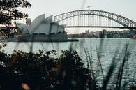 Sydney Opera house van Fulltime Travels thumbnail