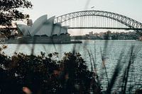 Sydney Opera House