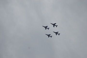 Vier jachtvliegen in de lucht