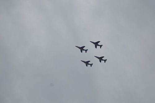 Vier jachtvliegen in de lucht