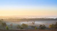 Zonsopkomst met mist
