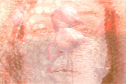 Ebenen von True Color Stories