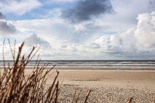 Traversée de la plage de Renesse