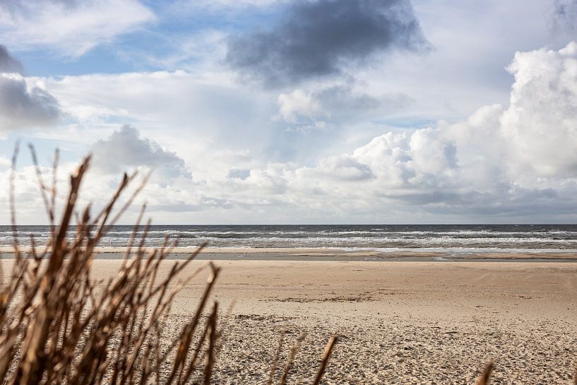 Strandübergang am Strand von Renesse von PIX on the wall