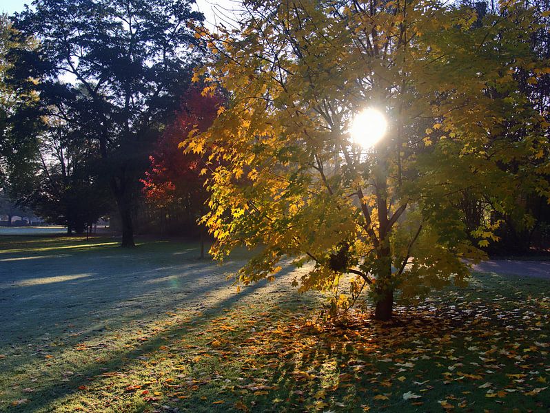 givre rauque 8 par Edgar Schermaul