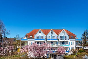 Huis en bloeiende bomen in Zingst aan de Fischland-Darß