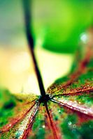 Soul of Autumn