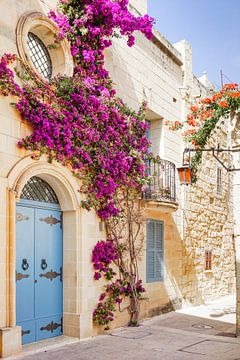 Streetscape with flowers in Malta by Evelien Oerlemans