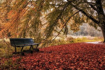 Bankje in het Amsterdamse Bos van Natascha Velzel