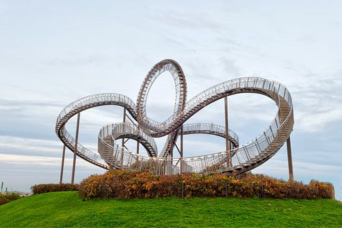 Tijger en schildpad in Duisburg