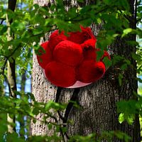 Bollenhut op de boom 2.0