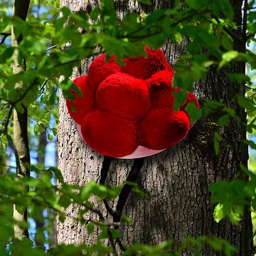Bollen hat on tree 2.0 by Ingo Laue