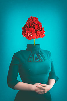 Tradwife aesthetics and social media – art about image-making