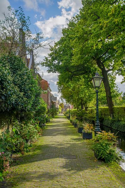 5th Binnenvestgracht in Leiden by Dirk van Egmond