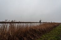 Kinderdijk Zuid Holland. von Brian Morgan Miniaturansicht