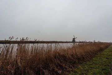 Kinderdijk Zuid Holland.