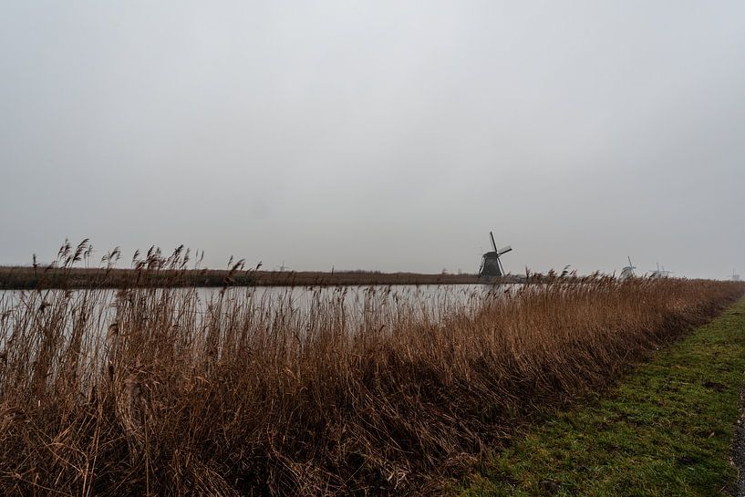 Kinderdijk Zuid Holland. von Brian Morgan