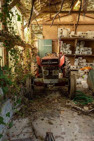 Verlassener Roter Traktor von Roy Donker